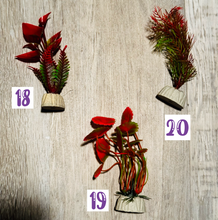 Load image into Gallery viewer, Sprout Clips ~ Unique ~ Handmade Plant Clips