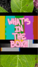 Load image into Gallery viewer, Nezuko ~ What’s in the Box?!