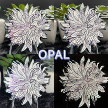 Load image into Gallery viewer, Dahlia Dahlight 🌸