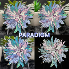 Load image into Gallery viewer, Dahlia Dahlight 🌸