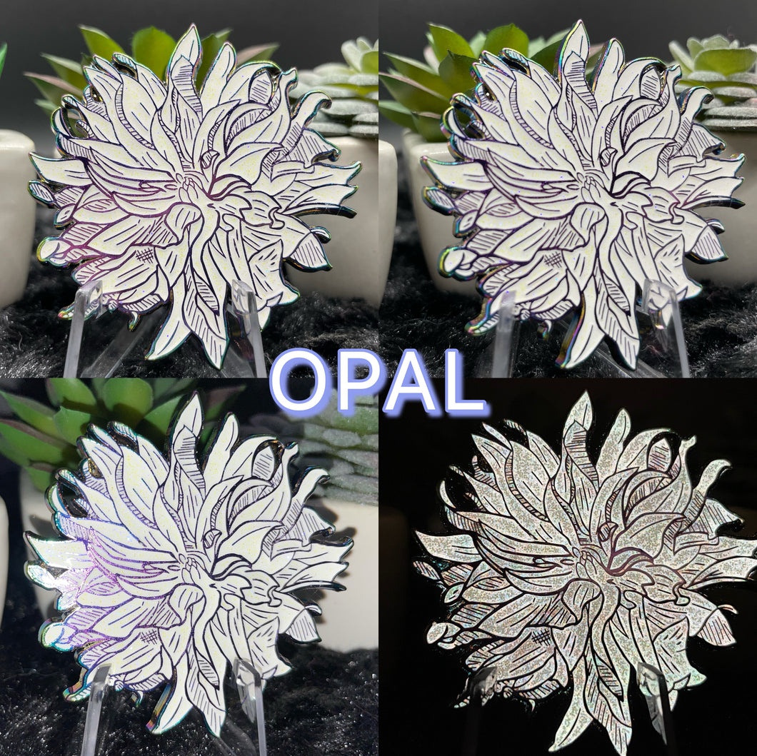 Dahlia Dahlight 🌸